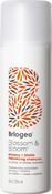 Blossom & Bloom Ginseng Шампунь для объема волос Женьшень + Биотин, 236 ml - Briogeo