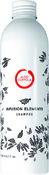 Шампунь для окрашенных волос Infusion Elements, 250 ml - Aldo Coppola
