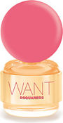 Want Pink Ginger, 50 мл DSquared2