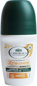 Дезодорант L'ANGELICA 50 мл L'ANGELICA