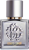 Туалетная вода Roberto Cavalli Uomo Silver, 60 мл Roberto Cavalli