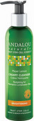 Очищающая крем-пенка "Лимон Мейера", 178 мл (Andalou Naturals)
